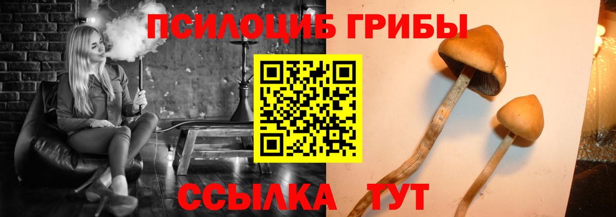 Псилоцибиновые грибы прущие грибы Королёв